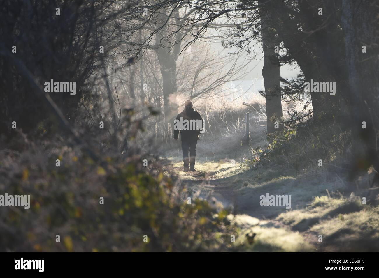 Aberystwyth Wales UK domenica 28 dicembre 2014 un freddo gelido chiara mattina in Aberystwyth Wales Photo keith morris / Alamy live news Foto Stock