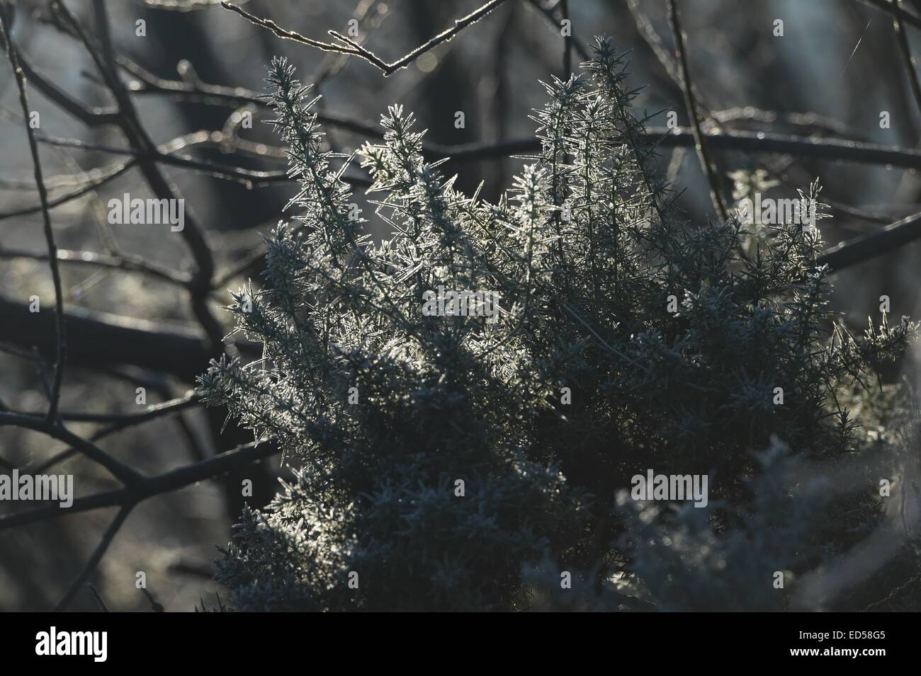 Aberystwyth Wales UK domenica 28 dicembre 2014 un freddo gelido chiara mattina in Aberystwyth Wales Photo keith morris / Alamy live news Foto Stock