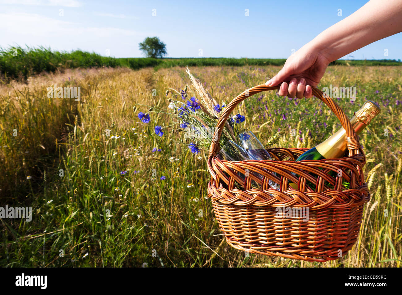 Cesto picnic nel paesaggio in estate Foto Stock