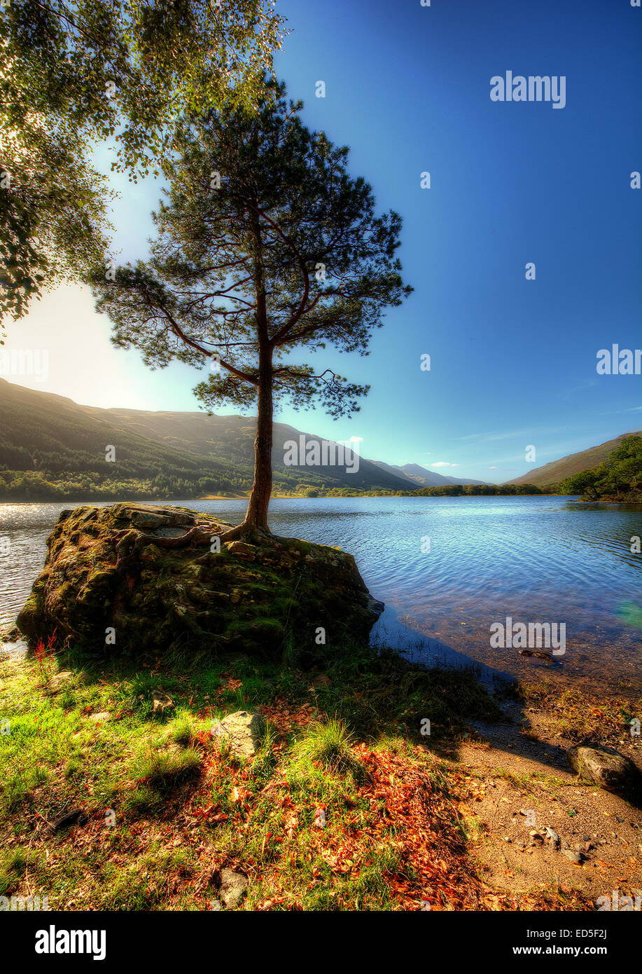 Loch Voil in Loch Lomond e il Trossachs National Park, Scozia. Loch Voil Canvas. Loch Voil tele. Loch Voil stampe. Loch Foto Stock