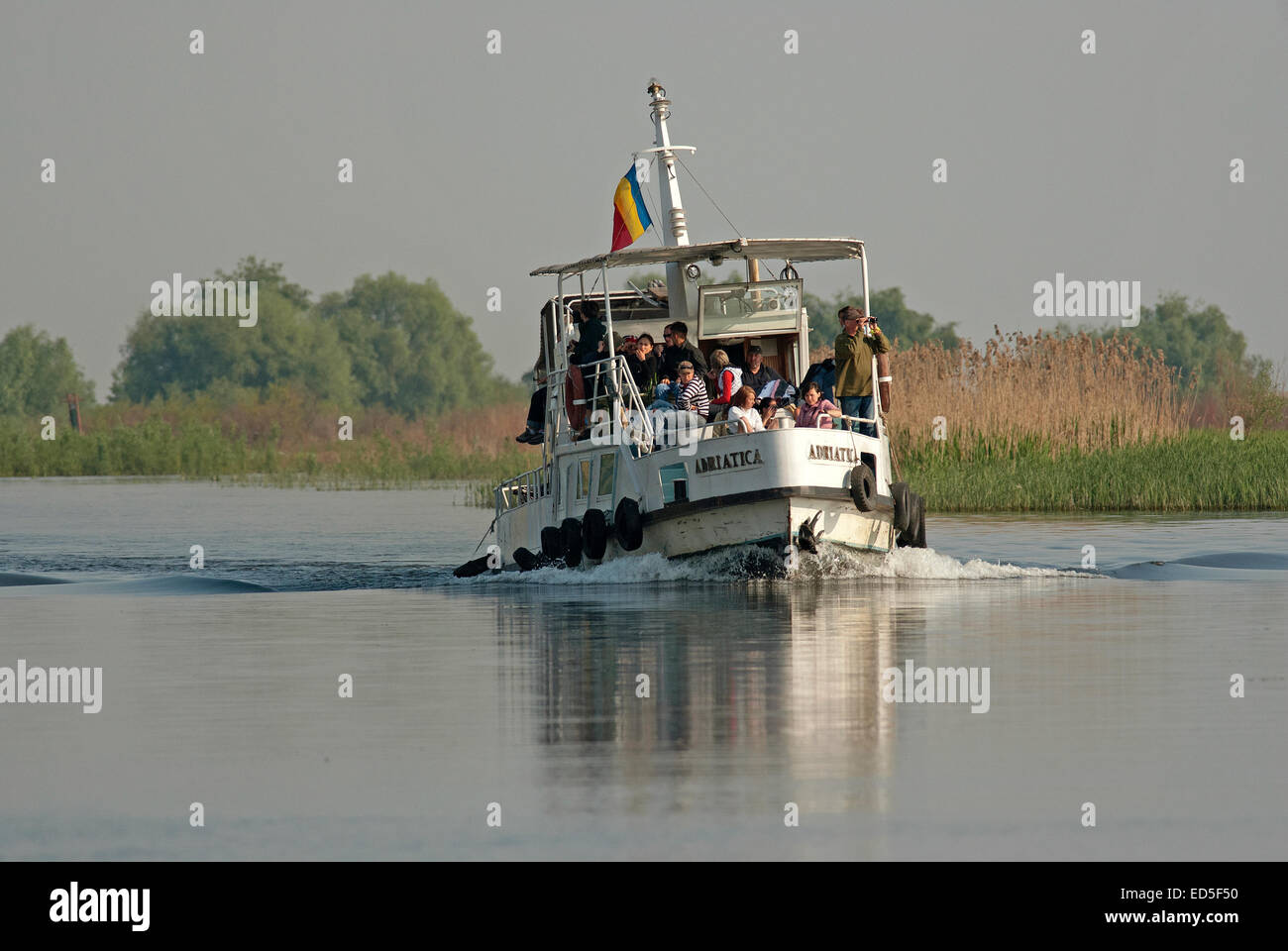 Tour in barca nel delta del Danubio, sito patrimonio dell'umanità dell'UNESCO, Romania, Europa Foto Stock