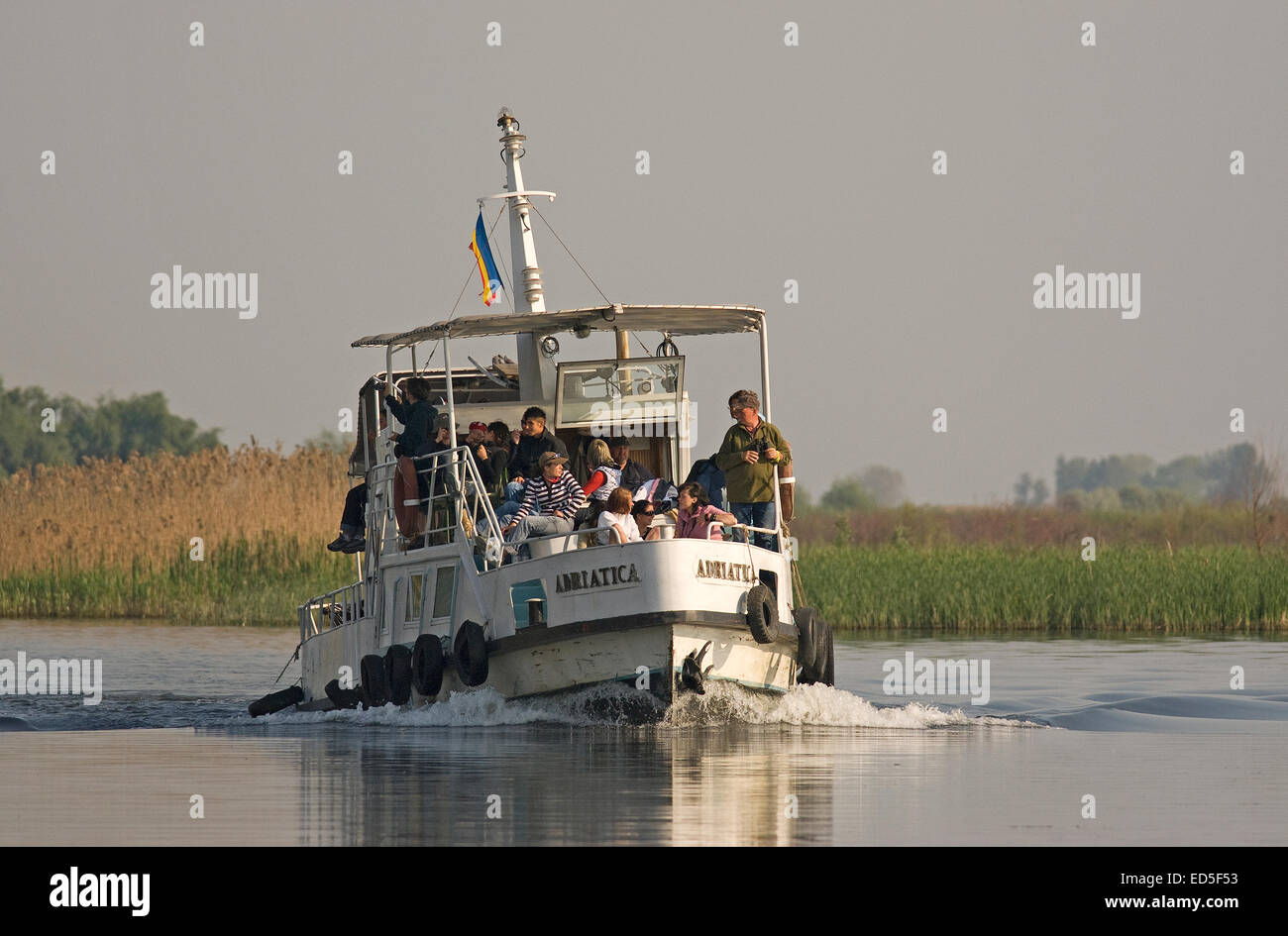 I turisti in motoscafo, il delta del Danubio, Sito Patrimonio Mondiale dell'Unesco, Romania, Europa Foto Stock