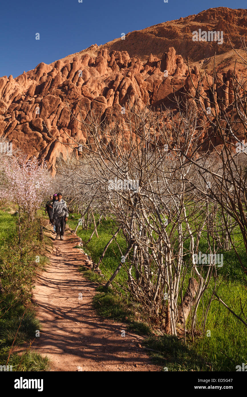 Ait Arbi, Boumaln Dades. Dades gole. Il Marocco. Il Nord Africa. Africa Foto Stock