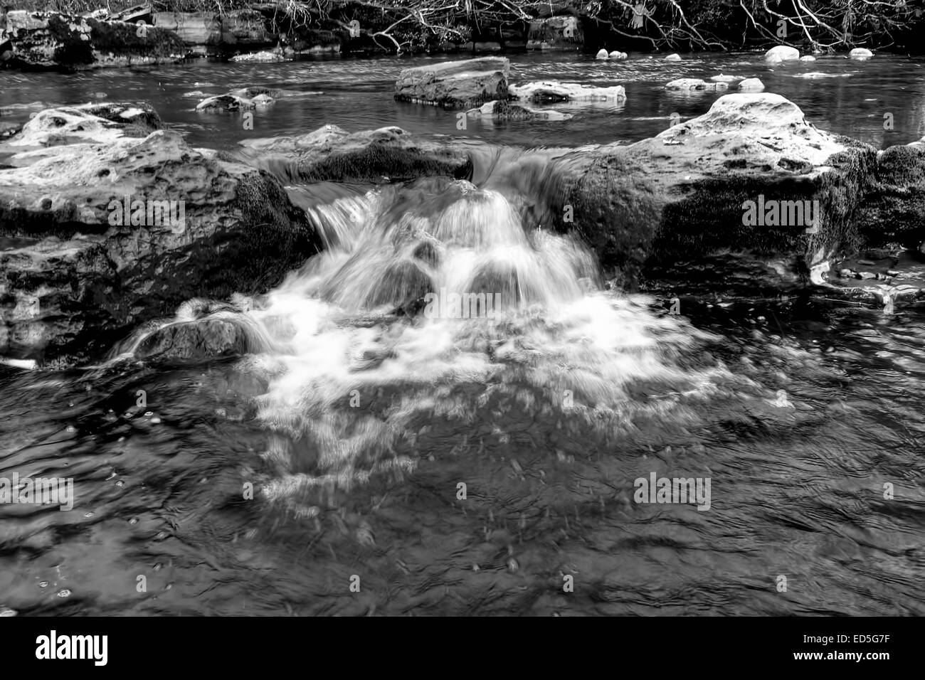 Una immagine in bianco e nero di una piccola cascata sul fiume Swale appena a valle dalla forza Wainwath in Swaledale in Yorkshir Foto Stock