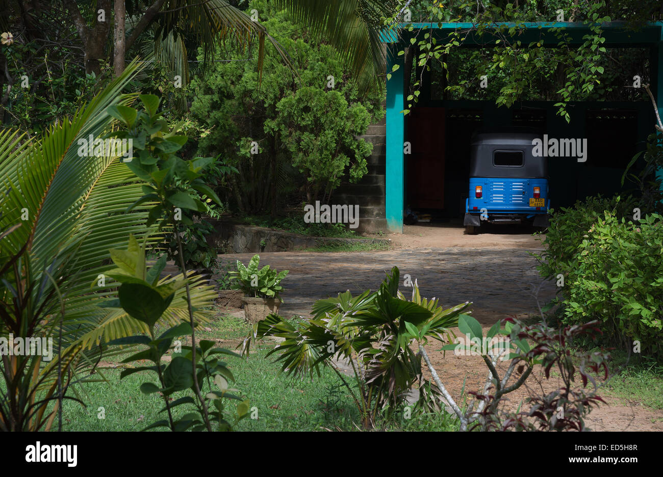 Blue tuk tuk veicolo parcheggiato in un lussureggiante giardino tropicale. Sud della provincia, Sri Lanka, in Asia. Foto Stock