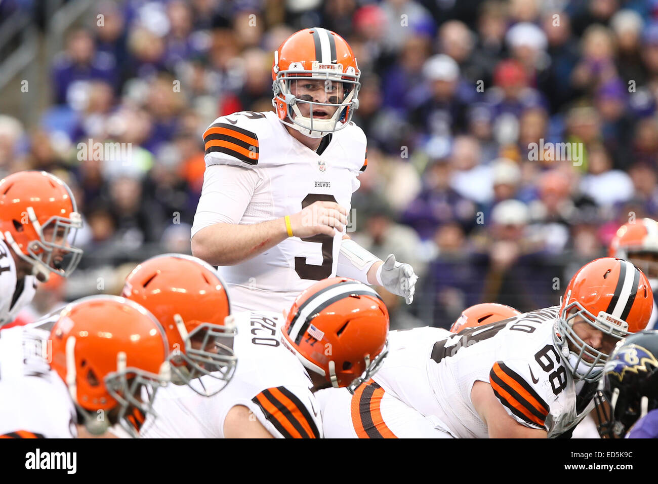 Baltimore, Maryland, Stati Uniti d'America. 28 dic 2014. Cleveland Browns quarterback Connor Shaw (9) Effettua chiamate a giocare contro i Baltimore Ravens su dicembre 28, 2014 a M&T Bank Stadium. Credito: Debby Wong/ZUMA filo/Alamy Live News Foto Stock