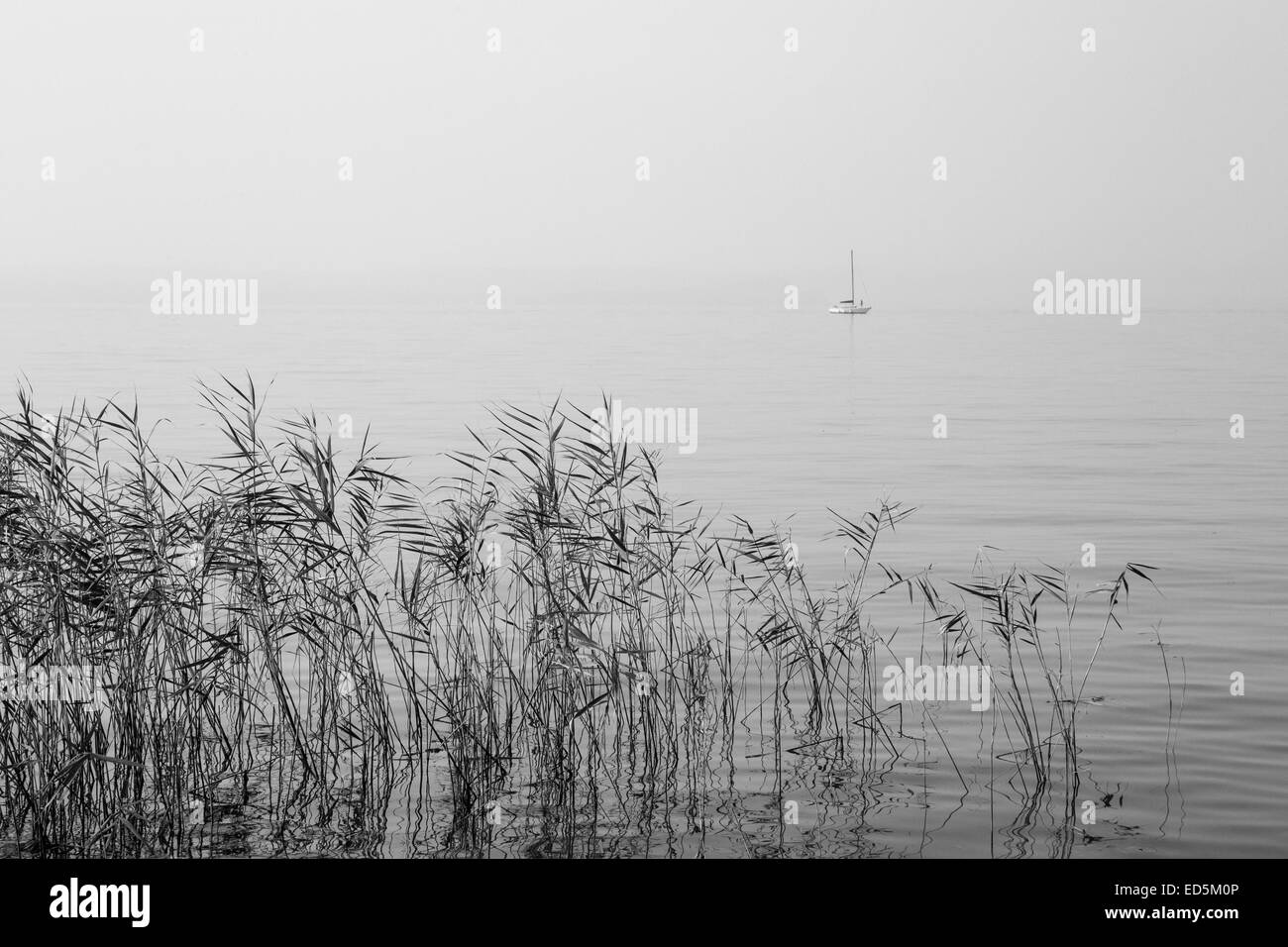 Una barca a vela vela nella nebbia del lago Foto Stock