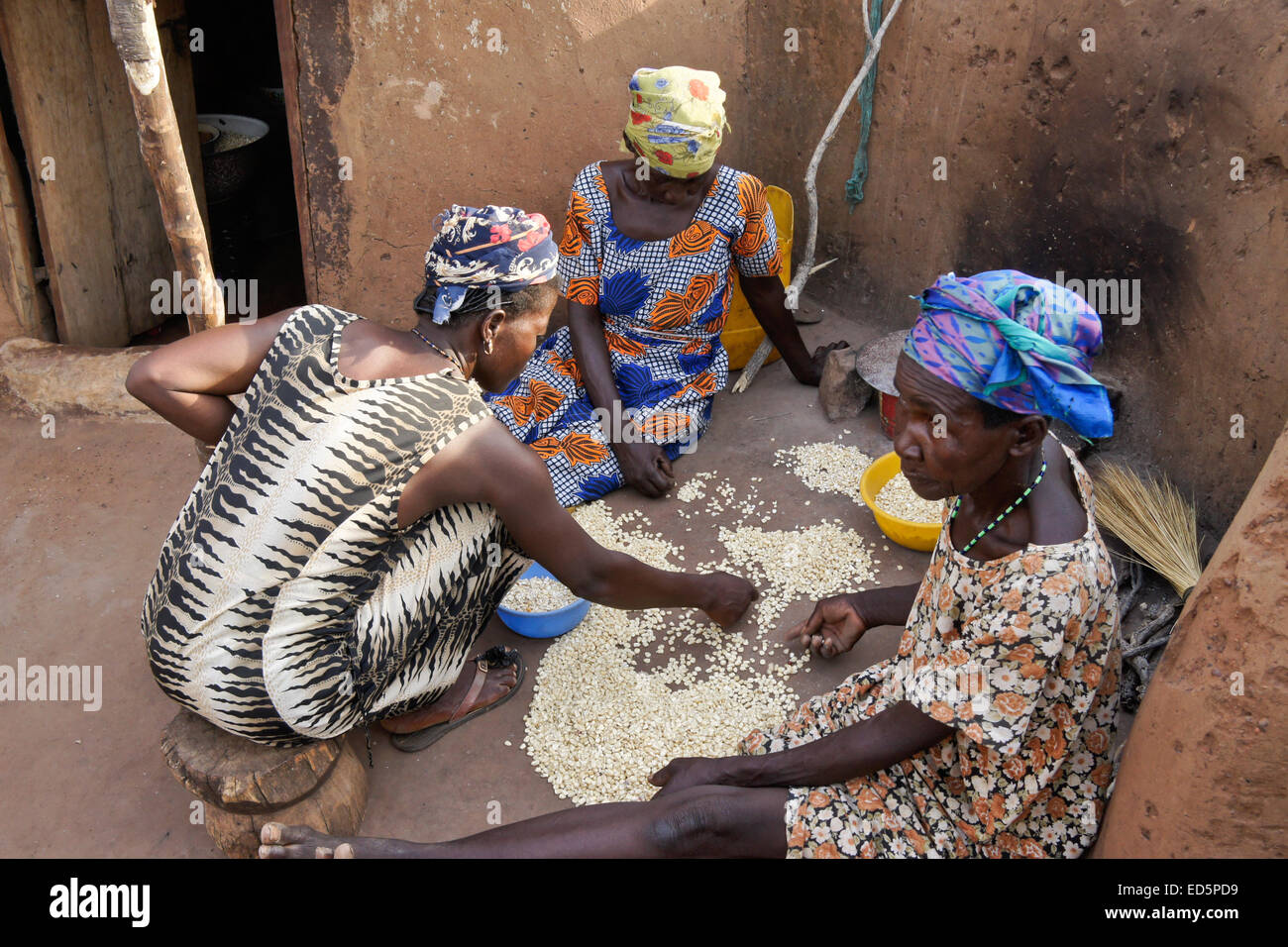 Pulizia delle donne di chicchi di mais al di fuori della loro capanna di fango, Gambaga, Ghana Foto Stock