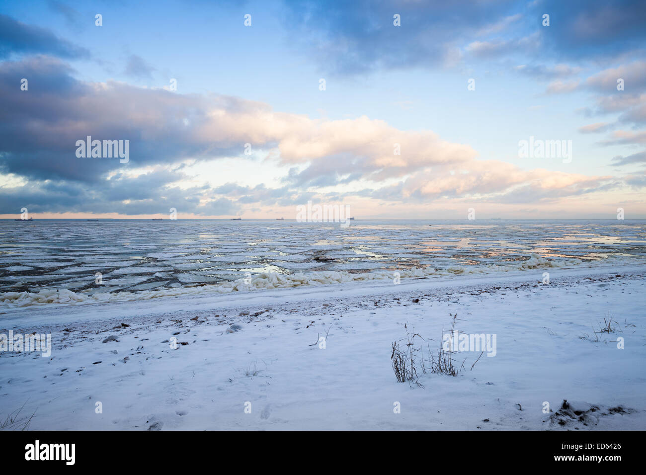 In inverno il paesaggio costiero con ghiaccio galleggiante in prossimità della costa del Golfo di Finlandia Foto Stock
