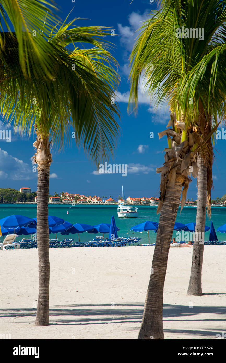 Palme e ombrelloni lungo la spiaggia in Philipsburg, Sint Maarten, West Indies Foto Stock
