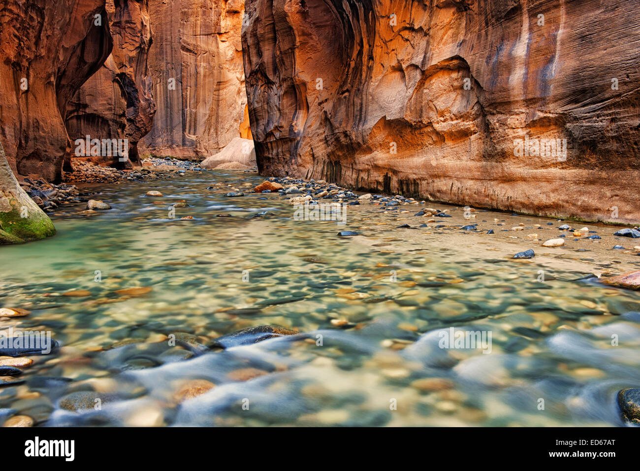 Luce riflettente si illumina le pareti di pietra arenaria della si restringe come il fiume vergine precipita attraverso Utah's Zion National Park. Foto Stock