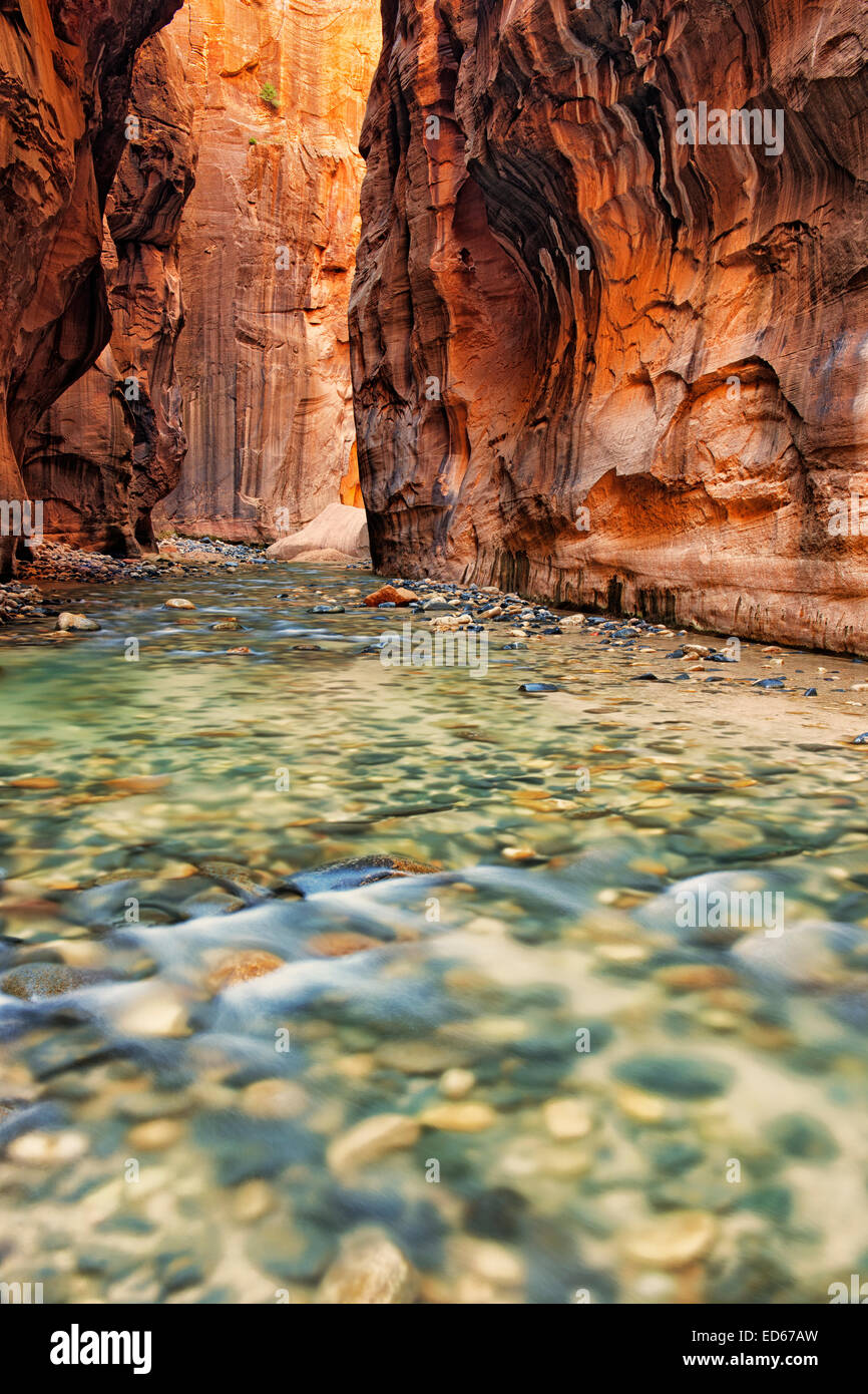 Luce riflettente si illumina le pareti di pietra arenaria della si restringe come il fiume vergine precipita attraverso Utah's Zion National Park. Foto Stock