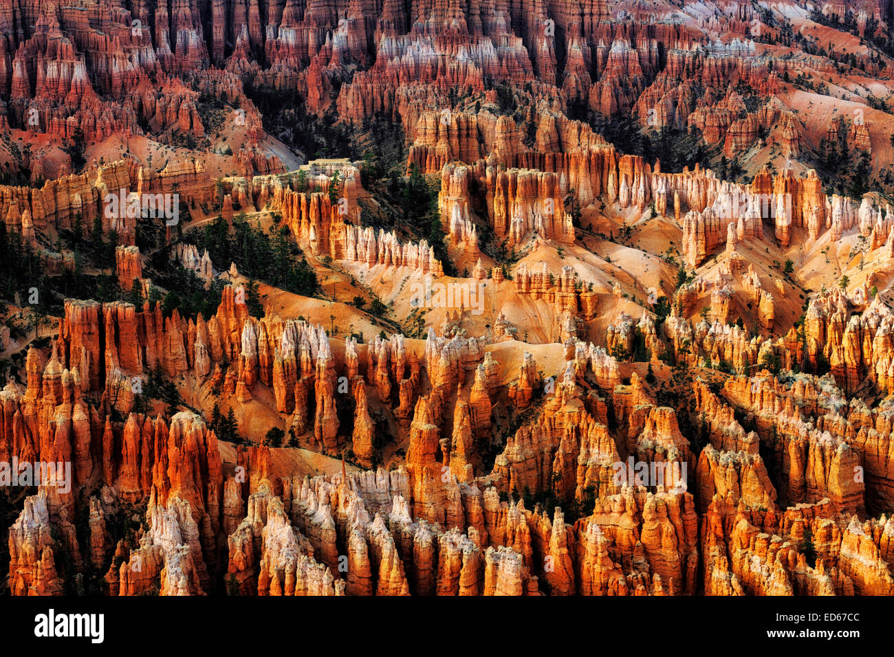 Riflettente la luce della sera illumina la città silenziosa di hoodoos dal punto di ispirazione in Utah Bryce Canyon National Park. Foto Stock