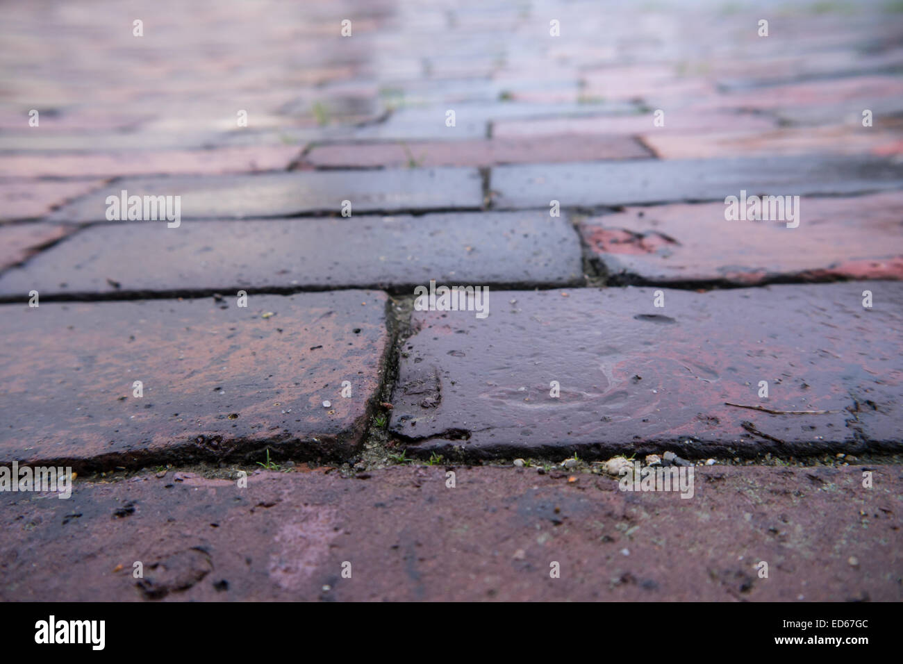 Il marciapiede, tegole rosse, sfondo (texture) Foto Stock
