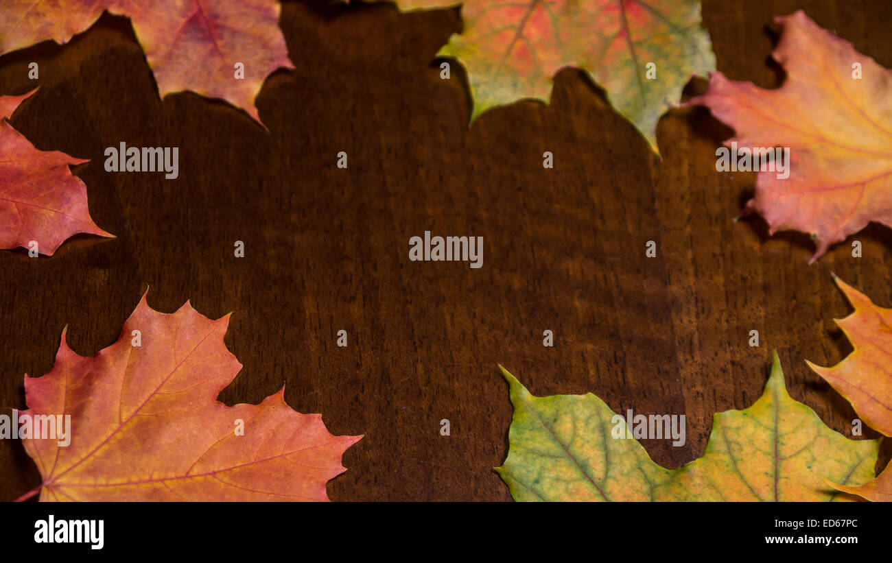 Foglie di autunno su una scrivania Foto Stock