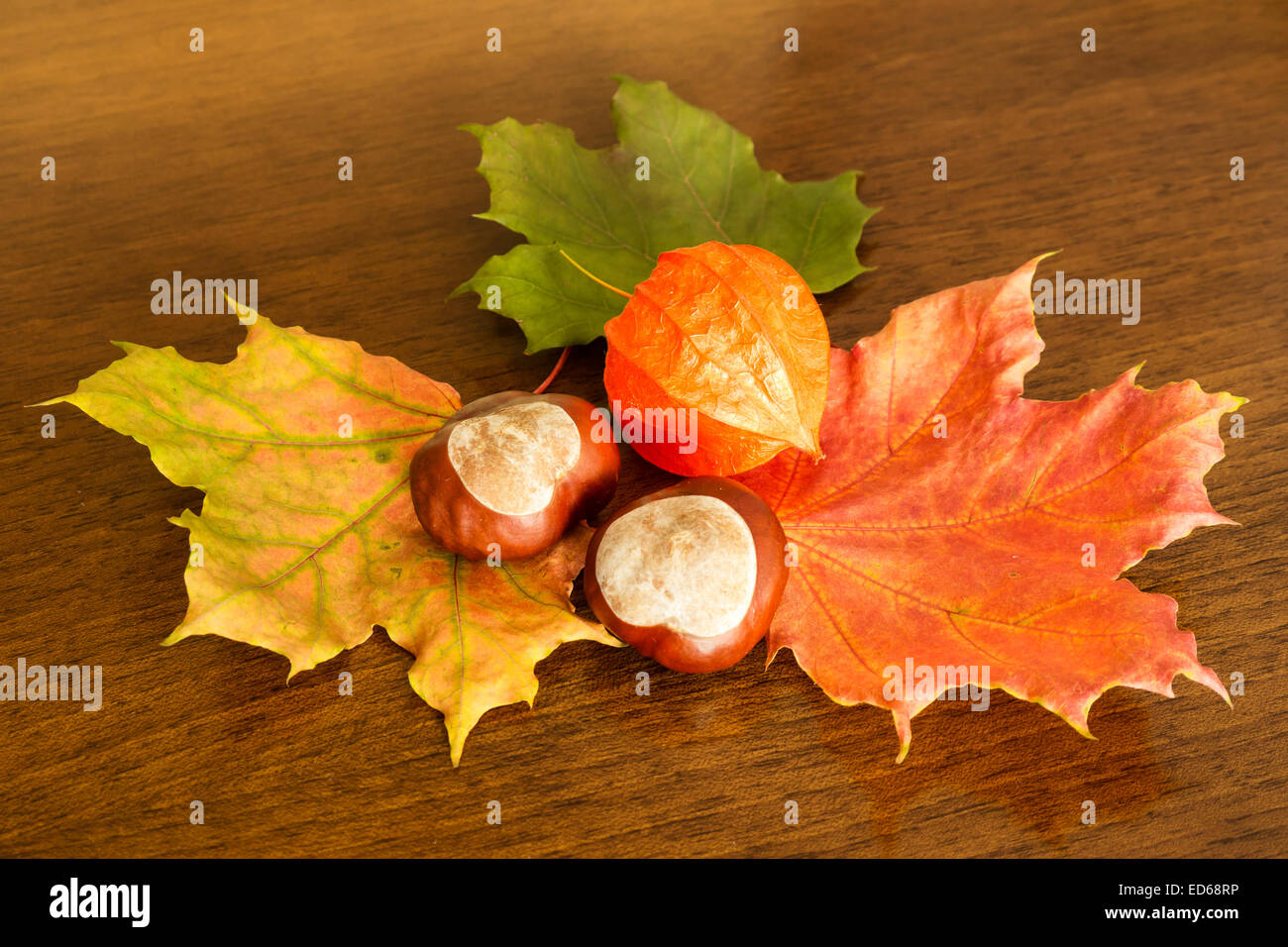 Foglie di autunno, castagno, physalis sul tavolo Foto Stock