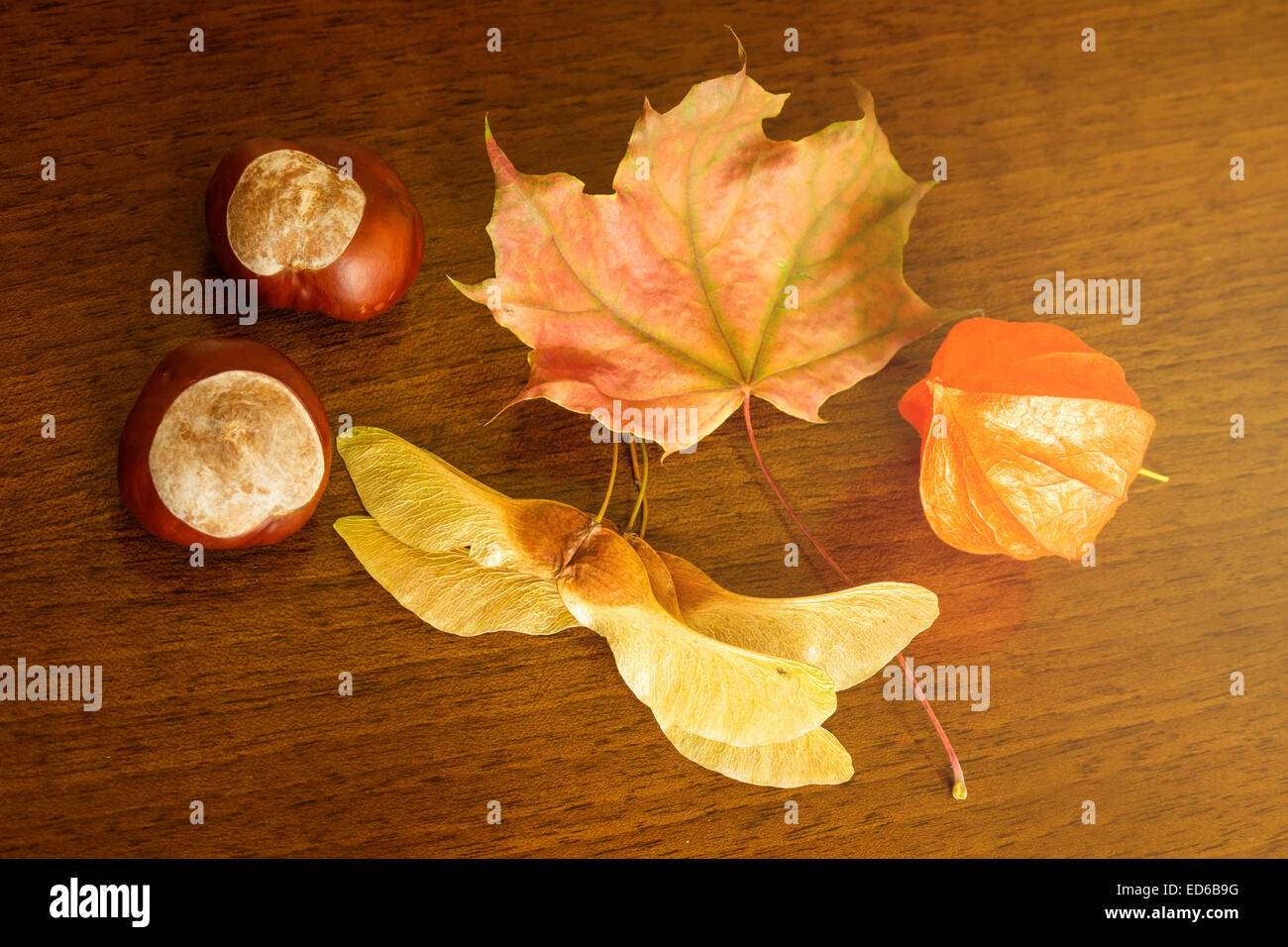 Il castagno, physalis e foglie di autunno sul tavolo di legno Foto Stock
