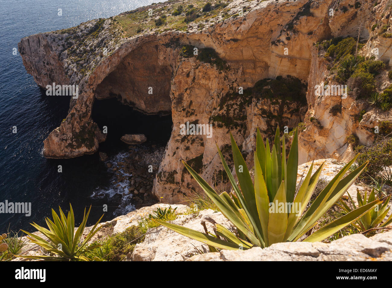 La Grotta Blu. Zurrieq. Isola di Malta. Repubblica di Malta. Europa Foto Stock