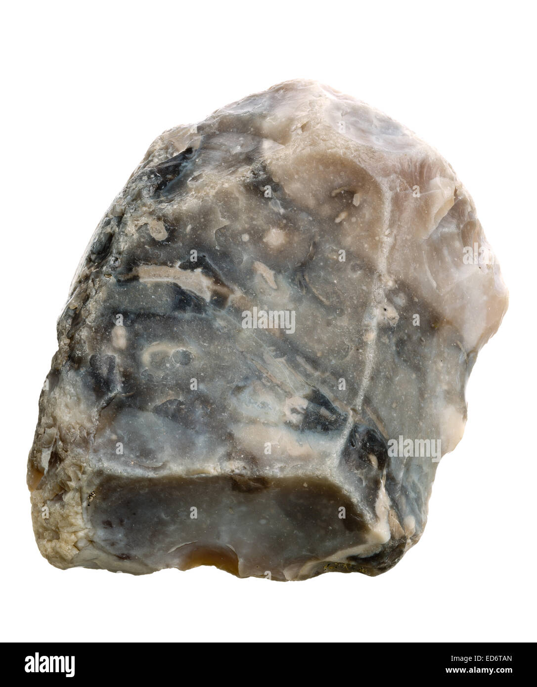 Selce Nera Immagini Senza Sfondo E Foto Stock Ritagliate Alamy Selce Nera Immagini Senza Sfondo E Foto Stock Ritagliate Alamy