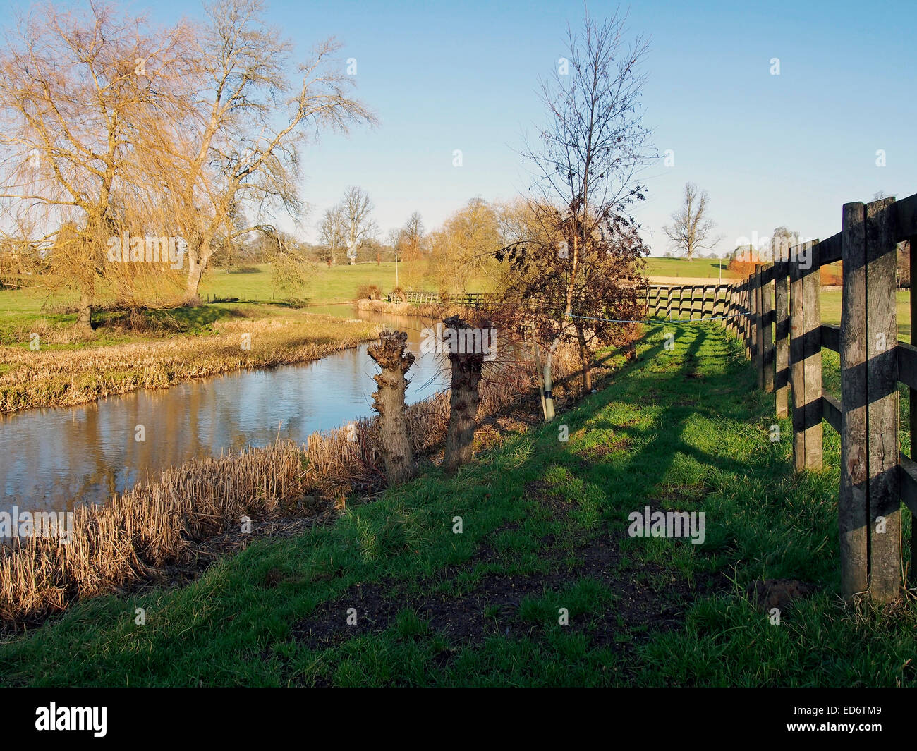 Una luminosa e soleggiata scena invernale sul fiume Colne tra Colne St Aldwyns e Hatherop nel Gloucestershire,, Inghilterra Foto Stock