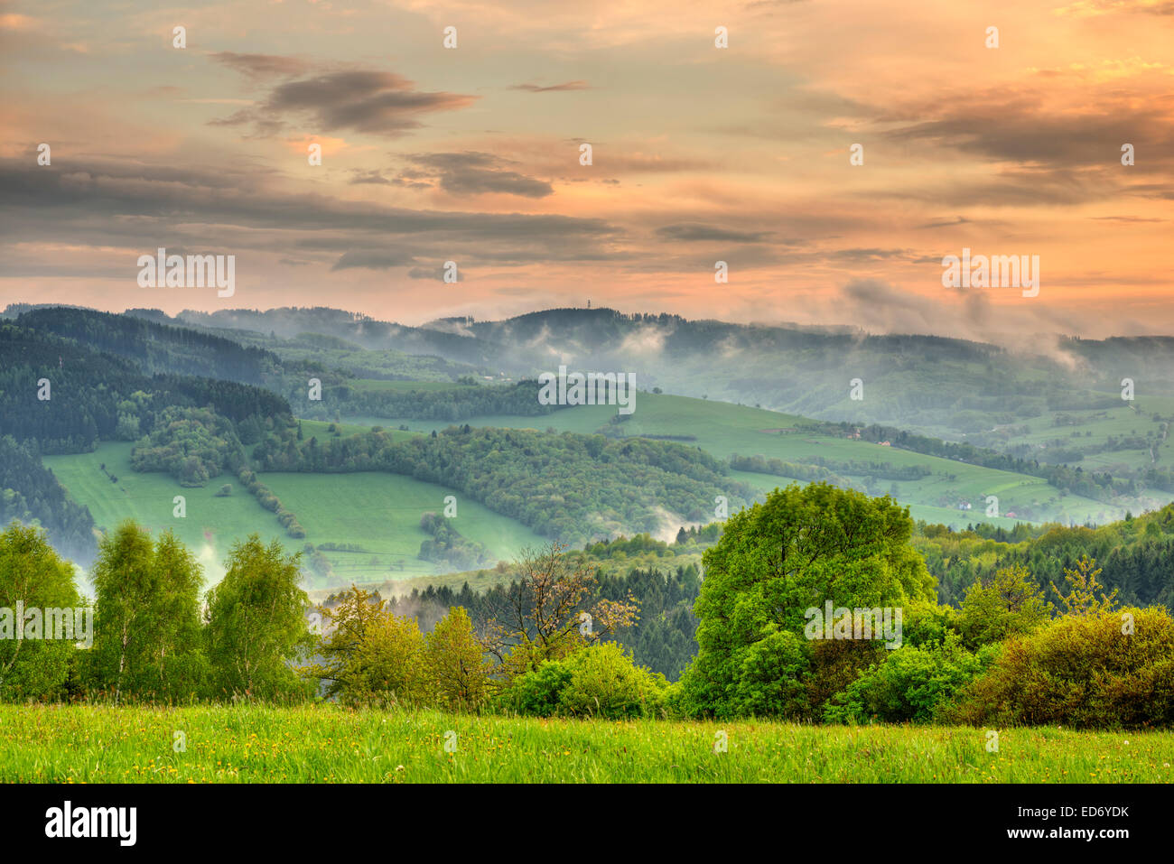 Mikulcin hill, Vapenice, vista da Zitkova, paesaggio protetto Area Karpaty biliare, Bianco Carpazi, Repubblica Ceca Foto Stock