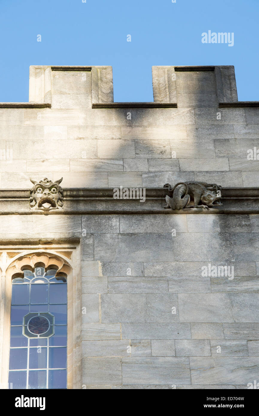 Edificio di architettura e sculture in pietra nelle scuole un quadrangolo biblioteca Bodleian Library di Oxford, Inghilterra Foto Stock