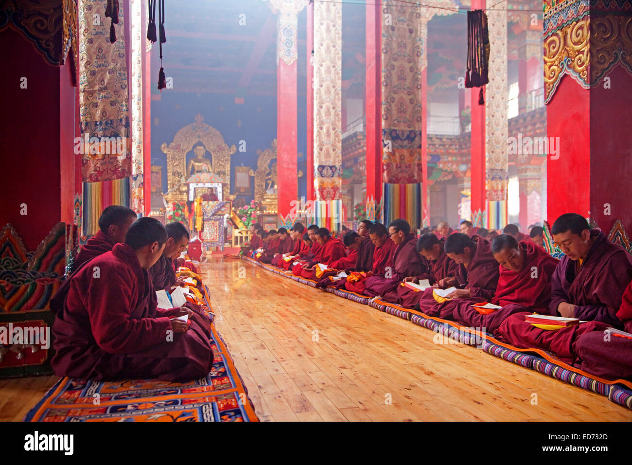 I giovani monaci tibetani dicendo mantra e meditando di Dzogchen Gompa / Deogchen monastero vicino Zhuqing, nella provincia di Sichuan, in Cina Foto Stock