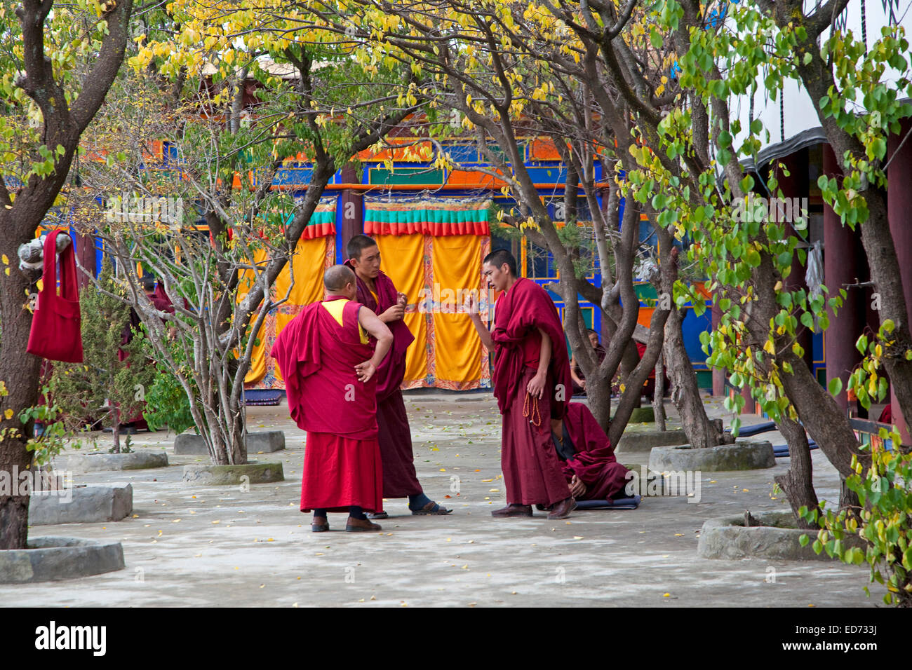 Monaci Tibetani nel monastero Kandze / Ganzi monastero vicino Garzê Town, nella provincia di Sichuan, in Cina Foto Stock