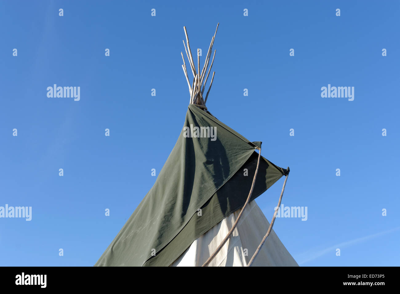 Tepee Glamping WOMAD 2014, Inghilterra Foto Stock