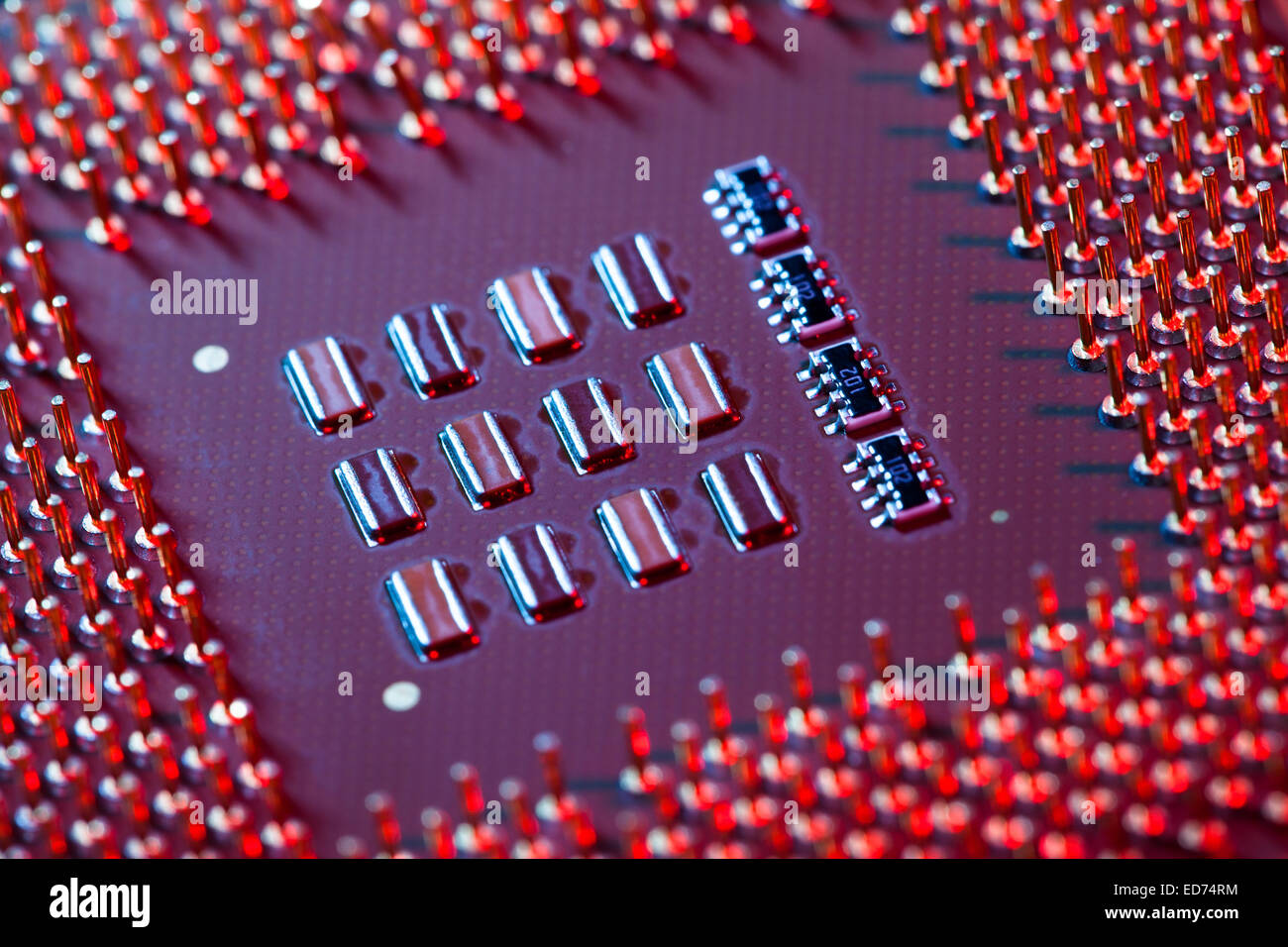 macro di CPU Foto Stock