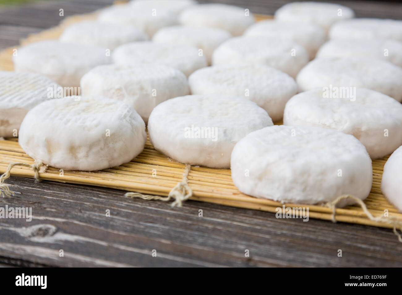 Insieme di piccoli capi di giovani formaggio di capra crottin giacente su tavole di legno Foto Stock