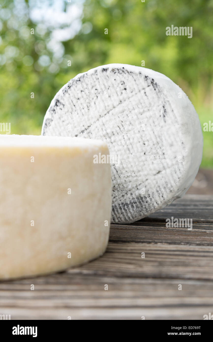 Formaggio di capra che giace su di un tavolo di legno pannelli Foto Stock