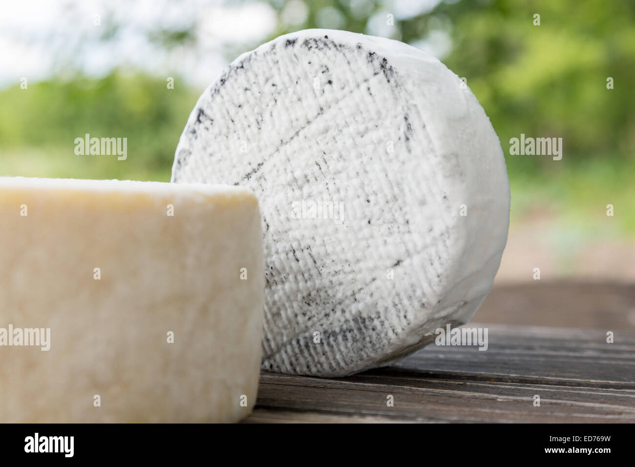 Formaggio di capra che giace su di un tavolo di legno pannelli Foto Stock