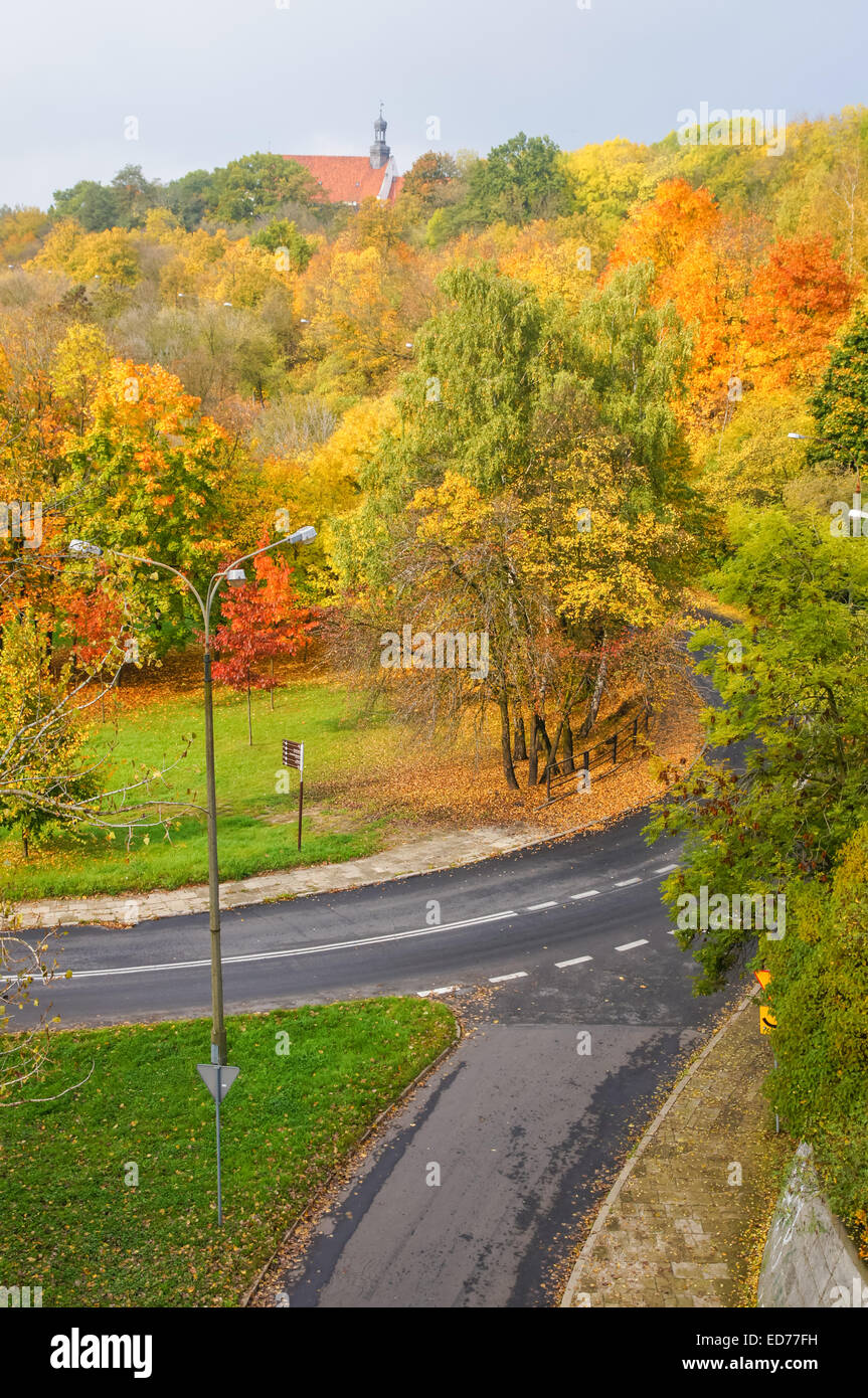 Foglie colorate in autunno parco presso la Tum collina di Plock Polonia Foto Stock