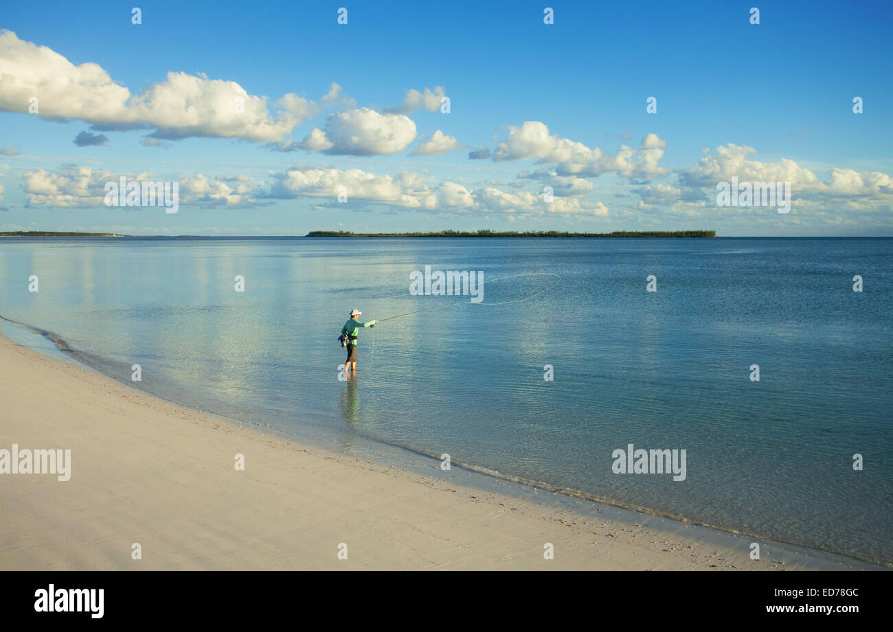 L'uomo saltwater fly fishing per bonefish in Abaco, Bahamas Foto Stock