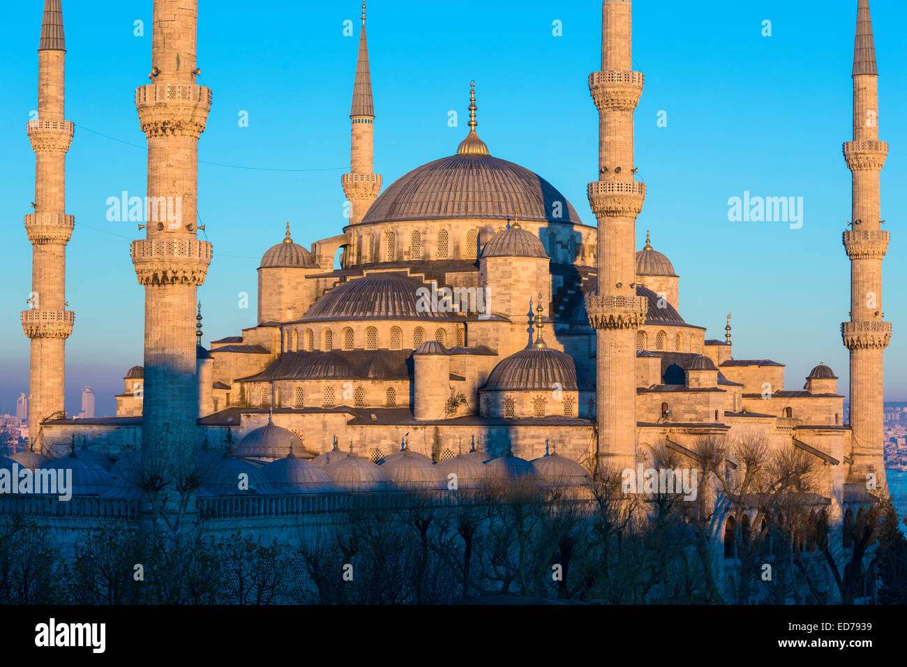 La Moschea Blu, Sultanahmet Camii o Sultan Ahmed moschea, a Istanbul, Repubblica di Turchia Foto Stock