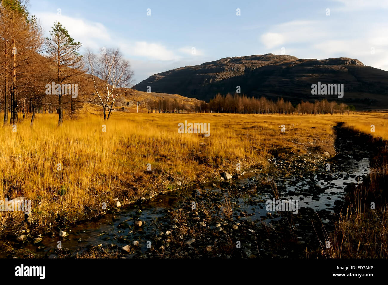 Glen Torridon in Wester Ross, Scozia Foto Stock