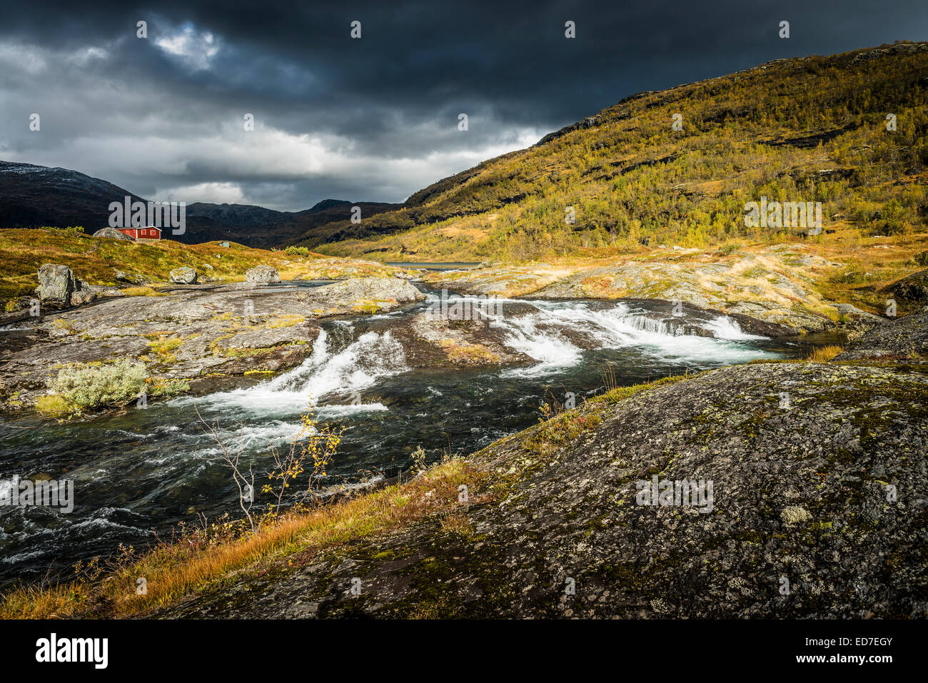 Åsetelvi, il flusso di drenaggio a Åsetevatnet Osen sopra Mørkrisdalen in Breheimen, Norvegia Foto Stock