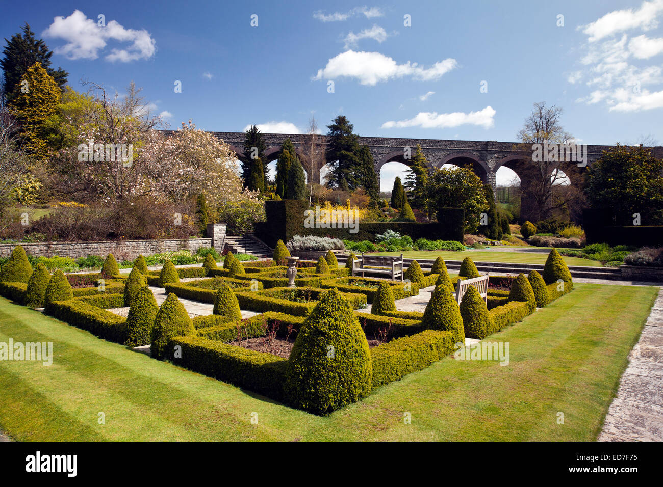 La casella a forma di siepi in parterre a Kilver giardini di corte in primavera, Shepton Mallet, Somerset, Inghilterra, Regno Unito Foto Stock