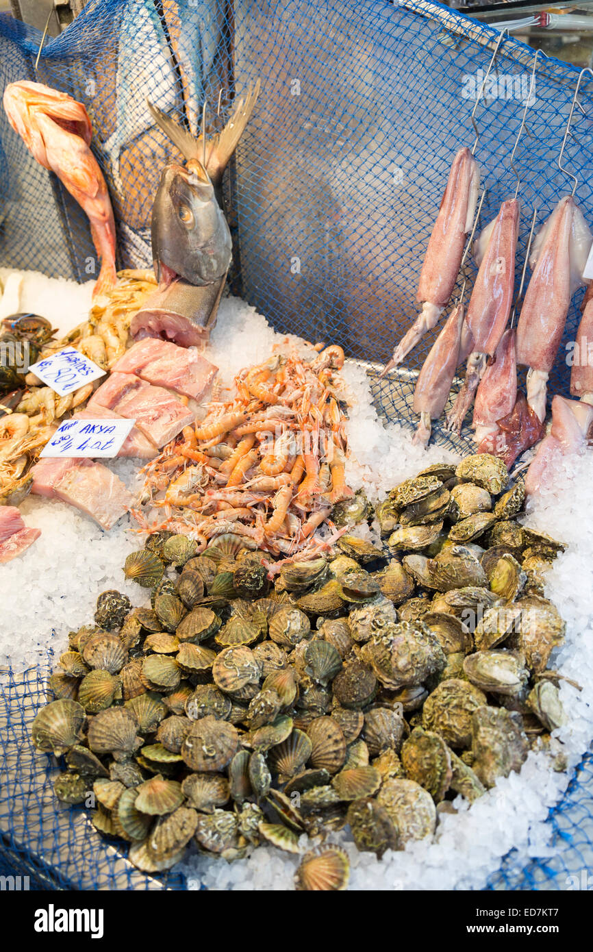 Pesce fresco di calamari, piatti di pesce Crostacei in pescivendolo nel mercato alimentare in Kadikoy district, lato Asiatico di Istanbul, est della Turchia Foto Stock