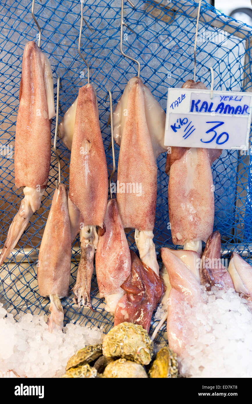 Calamari freschi (Kalamar) pesce lira turca prezzo nel tuo pescivendolo nel mercato alimentare di Kadikoy district del Lato Asiatico di Istanbul, Est Turk Foto Stock