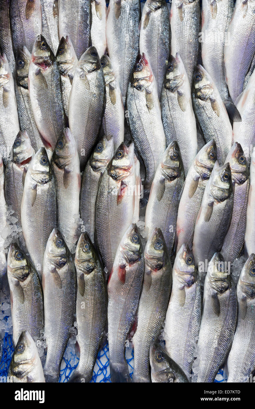 Materie di pesce fresco, Levrek, anche della spigola, in vendita nel mercato alimentare nel quartiere di Kadikoy sul lato Asiatico di Istanbul, est della Turchia Foto Stock