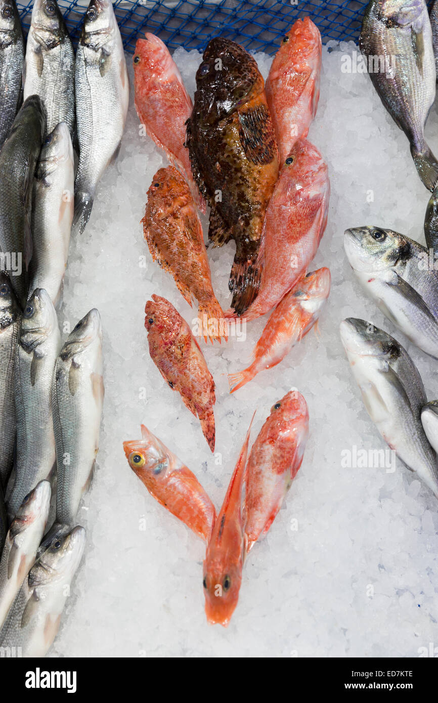 Pesce fresco in vendita nel mercato alimentare nel quartiere di Kadikoy sul lato Asiatico di Istanbul, est della Turchia Foto Stock