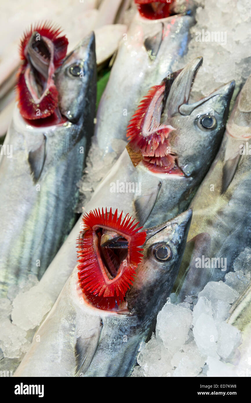 Fresco pesce bonito, come il tonno, sul display per la vendita al mercato alimentare nel quartiere di Kadikoy sul lato Asiatico di Istanbul, est della Turchia Foto Stock