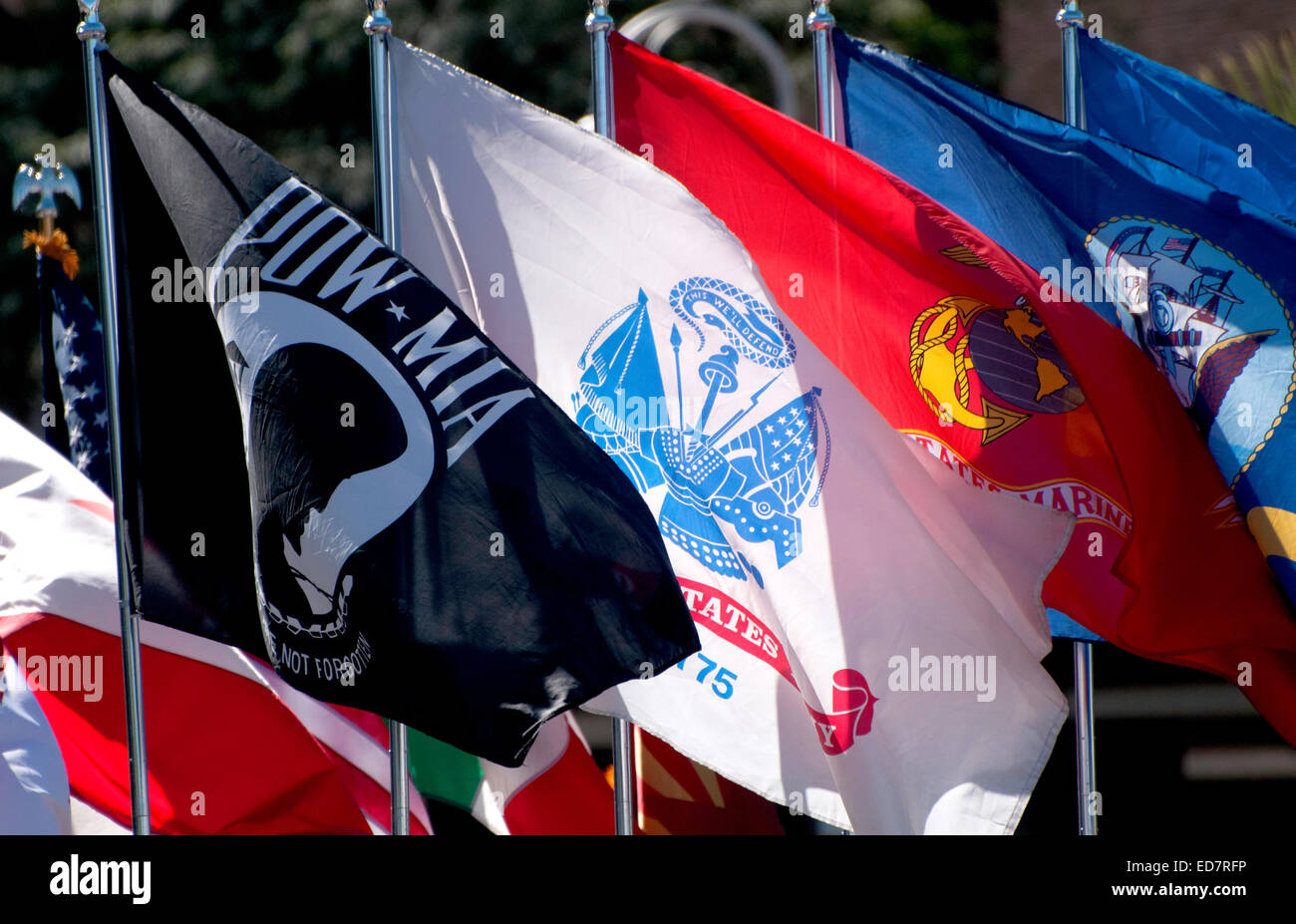 I flag vengono visualizzati in veterani del giorno Parade, che onori militari americani veterani, in Tucson, Arizona, Stati Uniti. Foto Stock