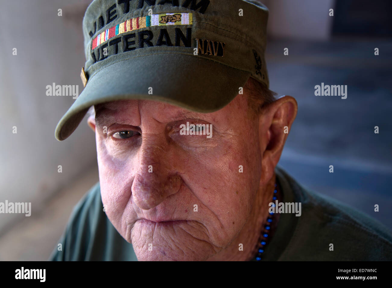 Esercito e della Marina veterano, Bob William, che ha servito in Vietnam hanno partecipato veterani del giorno Parade, Tucson, Arizona, Stati Uniti. Foto Stock