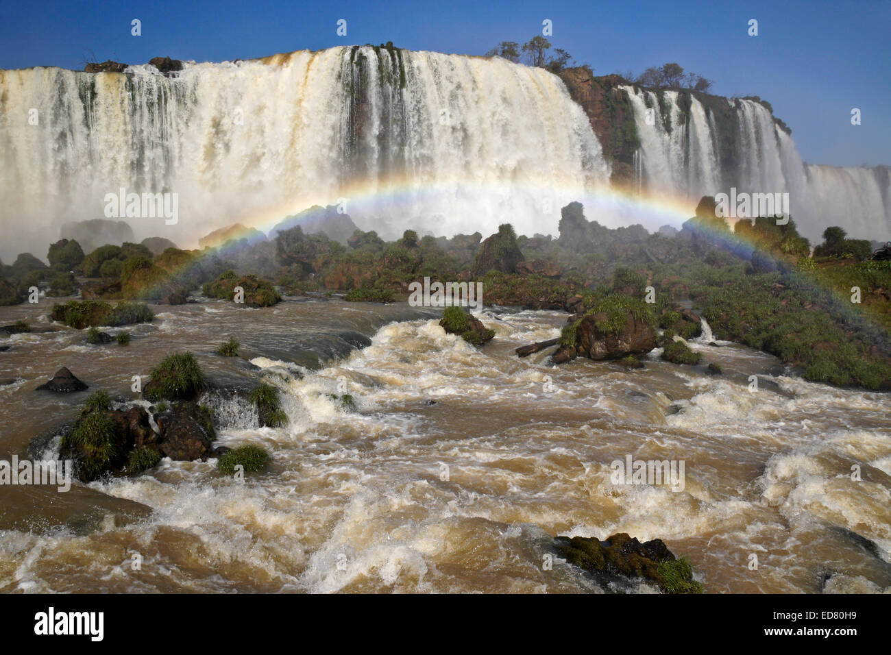 Cascate di Iguassù, visto dal lato del Brasile del Fiume Iguazu Foto Stock