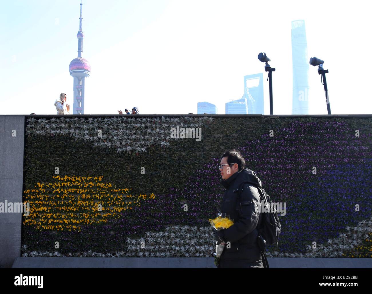 Shanghai, Cina. 1a gen, 2015. Un uomo cammina oltre la zona del Bund con un bouquet in mano a Shanghai in Cina orientale, 1 gennaio, 2015. Festa di Capodanno in Shanghai area bund si sono sviati Mercoledì notte a stampede ha provocato 35 morti e 42 feriti. Un testimone ha detto che alcuni buoni che sembrava "dollaro bill' sono stati gettati da un edificio della terza finestra pavimento vicino al Bund e persone in piedi lungo la riva del fiume ha cominciato a scramble per questi coupon. La città ha istituito un gruppo di lavoro per le operazioni di soccorso e di affrontare le conseguenze. Credito: Liu Ying/Xinhua/Alamy Live News Foto Stock