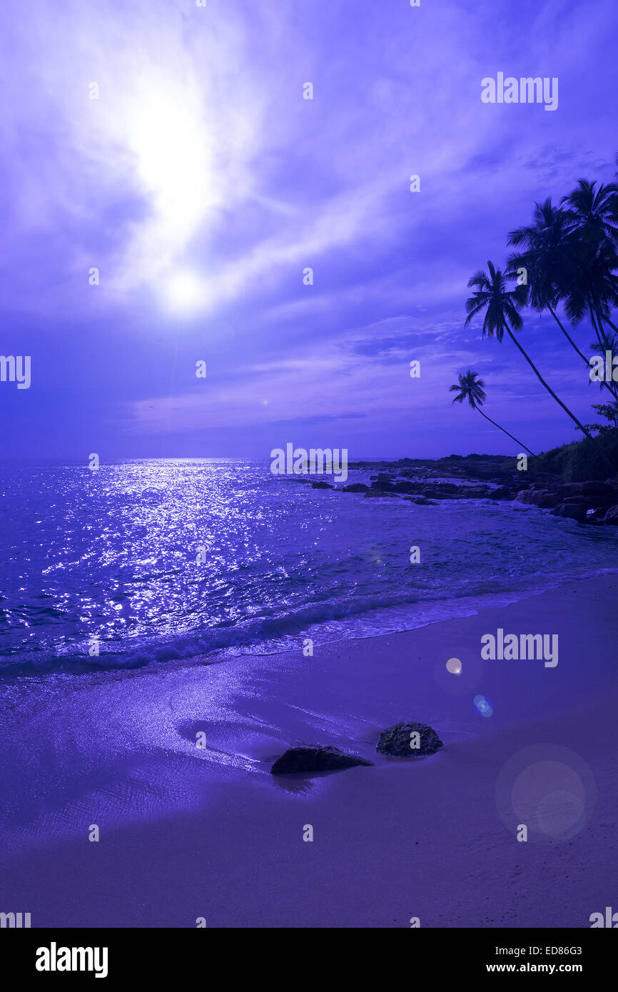 Blu tropicale paesaggio, spiaggia con palme da cocco e la luna che riflette in acqua dall'Oceano indiano, Sri Lanka, in Asia. Foto Stock