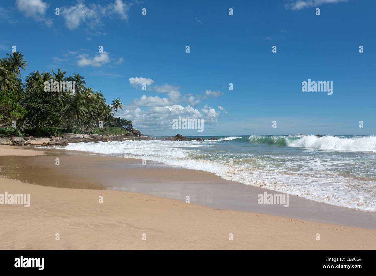 Spiaggia tropicale. Spiaggia di sabbia, palme da cocco e onde verdi con seafoam. Sud della provincia, Sri Lanka, in Asia. Foto Stock